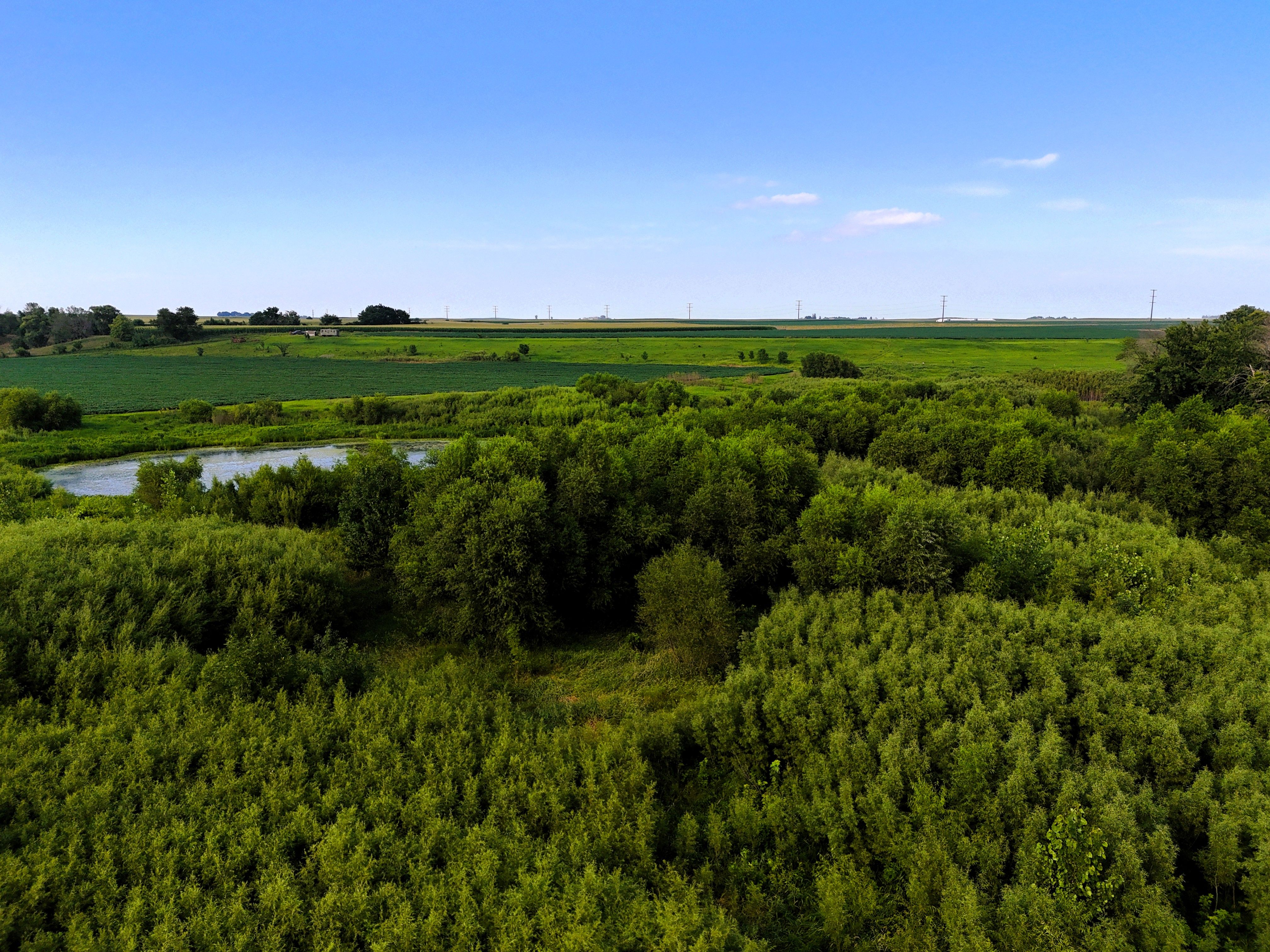 Listing Photo: Mid Air 21 - willows 